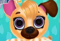 Animal Games, Pet Haircut Beauty Salon, Games-kids.com