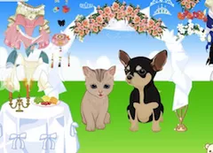 Animal Games, Pet Wedding, Games-kids.com