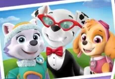 Paw Patrol Games, Picture Pawfect Dress Up, Games-kids.com