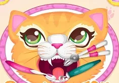 Dentist Games, Precious Kitty Dentist, Games-kids.com