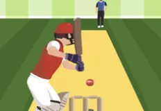 Boys Games, Pro Cricket Champion, Games-kids.com