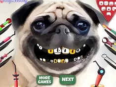 Dentist Games, Pug Teeth Problems, Games-kids.com