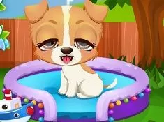 Animal Games, Puppy Fun Care, Games-kids.com