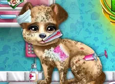 Animal Games, Puppy Rescue Vet, Games-kids.com