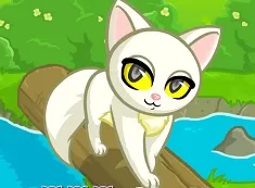 Animal Games, Purrfect Kitten 2 , Games-kids.com