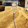 Adventure Games, Python Snake Simulator, Games-kids.com