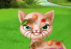 Animal Games, Save Stray Cat, Games-kids.com