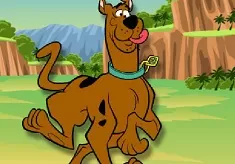 Scooby Doo Games, Scooby Doo Cup Run, Games-kids.com