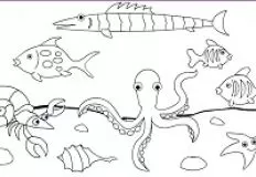 Coloring Games, Sea Painting, Games-kids.com