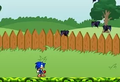 Sonic Games, Sonic in Garden, Games-kids.com