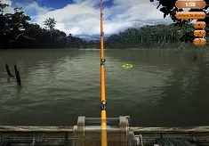 Fishing Games, Sport Fishing, Games-kids.com