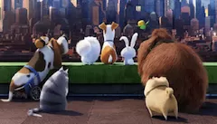 Secret Life of Pets Games, The Secret Life of Pets Find Objects, Games-kids.com