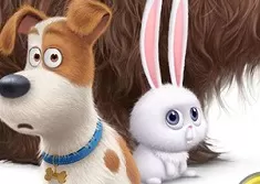 Secret Life of Pets Games, The Secret Life of Pets Spot the Numbers, Games-kids.com