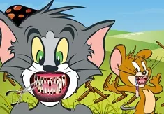 Tom and Jerry Games, Tom and Jerry at the Dentist, Games-kids.com