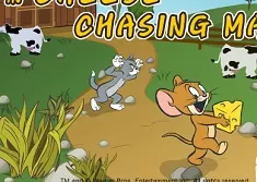 Tom and Jerry Games, Tom and Jerry Cheese Chasing Maze , Games-kids.com