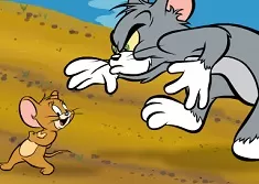 Tom and Jerry Games, Tom and Jerry in Cat Crossing, Games-kids.com