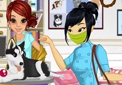 Dress Up Games, Veterinary Clinic Volunteer, Games-kids.com