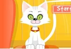 Animal Games, Virtual Cat, Games-kids.com