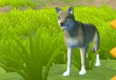 Animal Games, Wolf Simulator, Games-kids.com